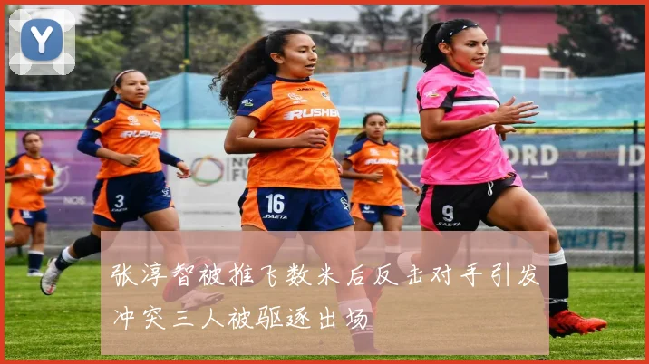 张淳智被推飞数米后反击对手引发冲突三人被驱逐出场